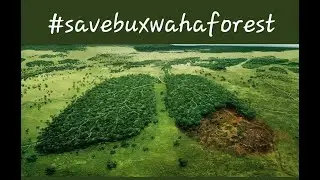 Save Buxwaha Forest | जल जंगल जमीन #savebuxwahaforest