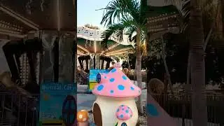 #shorts13#pattaya#carousels#street#fun#nature#travel#beautiful#foryoupageyoutube#fun#themepark