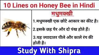 10 Lines on Honey Bee in Hindi | Honey Bee |मधुमक्खी पर 10 लाइनें |🐝🐝#honeybee @study_with_shipra