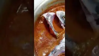 #shortsfeed #youtubeshorts #shorts #tamil #fish fry