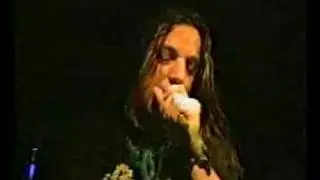 Last days of humanity - Festering fungus infection