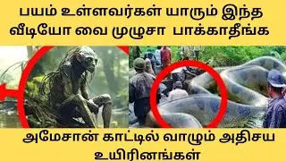 அமேசான் காட்டில் வாழும்  அதிசய உரியினங்கள்|Amazon secrets|Tamil Venulingam balakrishnan #video