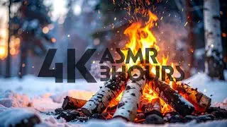 Cozy Winter Tent Camping Ambience with Crackling Fire & Wind Sounds | 3 Hours ASMR (장작 타는 소리와 바람 소리)