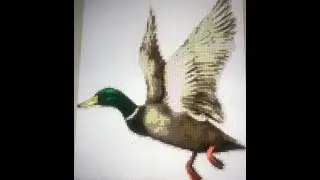 cross stitch world - duck