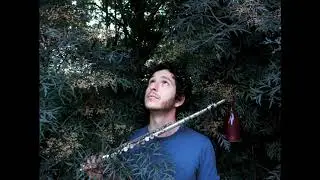 Michael Rothman - Daylight Breaks