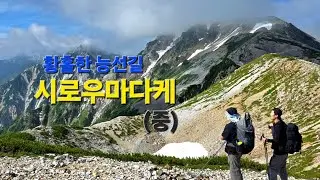 🇯🇵북알프스 최고의 풍경. 멋진 운해와 꿈같은 능선길. 시로우마다케(2,932m) 제2편. 이것이 알프스라 불리우는 이유.         