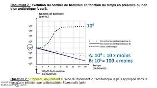 3&egrave;me: Correction DNB Sujet Typhoide