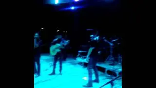 Los typpos de cedral 3