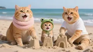 Ginger Kitten Spends A Happy Beach Day With Mama Cat And Dad Cat 🌊🐾🐱