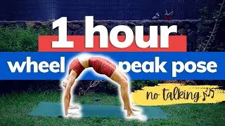 1-Hour Full Body Yoga Workout For Strength & Flexibility | Yoga Wheel Peak Pose Flow | No talking 🎶