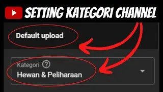 Cara Setting KATEGORI Video youtube 2022 agar channel rame - CARA OTOMATIS