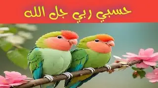 Hasbi Rabbi Jallallah Naat With Natural Beauty Video|Heart Touching and Sleepy Music|2020