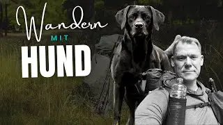 Wanderung in der Natur mit Hund