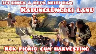 PICNIC CUM HARVESTING||&bull;IPI DINGA HEPA NEITI HM