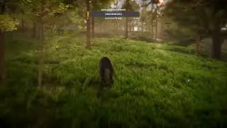 Twilight Tails Demo