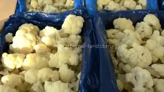 Themar Land Frozen- IQF vegetables: Cauliflower