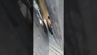 SMALL BLOWOUT #truckher  #intermodalcontainer #trucker