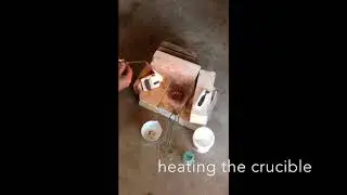 Cuttlefish Casting