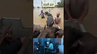 WAHEGURU JI MEHAR KARAN | SUFRAAZ