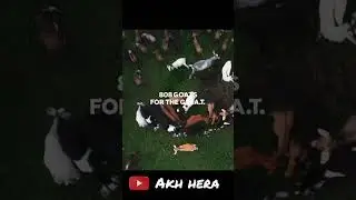 808 Goats make messi's face just incredible,,, #messi #trending #viral #football #intermiami