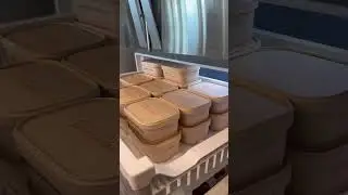 Eco-Friendly Containers for Meal Prep | Stealth Health Containers