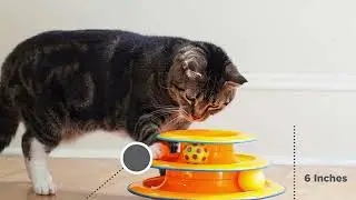 Trending Cat Toys Your Kitten Will LOVE! 😻✨ #CatToys #KittenPlay #petshopamerica