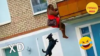 SI TE RÍES PIERDES NIVEL DIOS #614 🤣🥶🚨 [999.99 IMPOSIBLE NO REÍRSE] Videos De Risa Muy Gracioso 2026