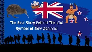 Kiwi Culture: How This Iconic Bird Represents New Zealand's Identity