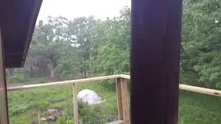 Peaceful Rain on the Stabbur