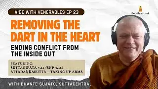 Removing the Dart in the Heart | Bhante Sujato | Vibe with Venerables Ep 23