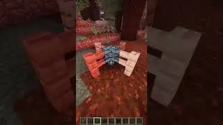 Minecraft fences are racist?? #shorts #minecraft