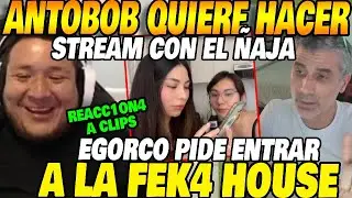 🔥ANTOBOB quiere streamear con el &Ntilde;AJA😱EGORCO pide ENTRAR a la FEK4 HOUSE💥KINGTEKA RE4CC10N4 a CLIPS