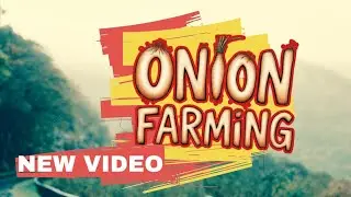 Onion FARMING Secrets Revealed