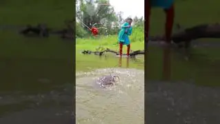 Fishing Video | Indian girl hook fishing #shortvideo #fishingmethods #hookfishingtips #shorts #viral