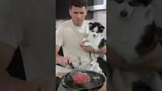Крабсбургер (при участии Губки Боба)