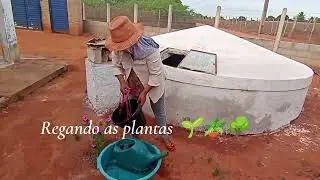 31 de janeiro de 2026