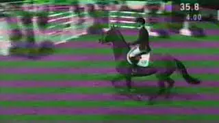 Malin Baryard - H&M Butterfly Flip - World Cup Final