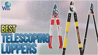 10 Best Telescoping Loppers 2018