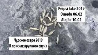 Чудское озеро | Peipsi lake | Где же крупная рыба? | Зимняя рыбалка | Февраль 2019