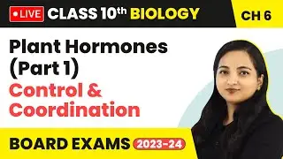 Plant Hormones (Part 1) - Control and Coordination | Class 10 Biology Chapter 6 (LIVE)