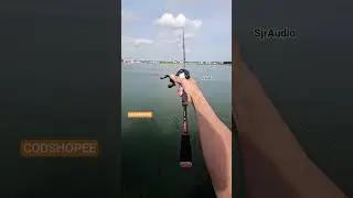 BC Seahunter Starfall DC #baitcasting #seahunterstarfallDC #fishing