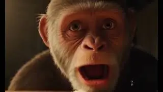 Cute monkey's adventure