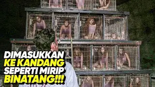 MISSING WIFE TURNED INTO AN ANIMAL || MOVIE PLOT Pawn Shop Chronicles (2013)