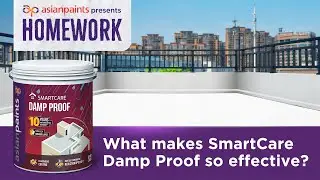 Decoding the Science Behind: SmartCare Damp Proof | Homework by Asian Paints