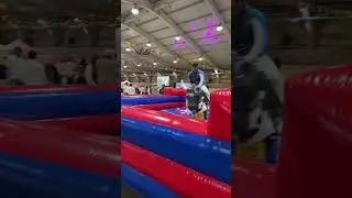 Mechanical Bull Riding