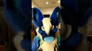 10 Outta 10 Good Boy - Furry Tiktok FurrSymphony MoreFurLess MFL Tik Tok