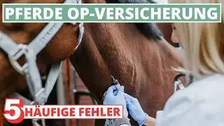Pferde OP-Versicherung - 5 Fehler bei der Tarif-Wahl