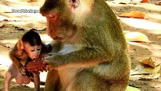 Poor Janet so hungry saw mom Jane eat food so yummy|Janet cry no sound try snap mom's food