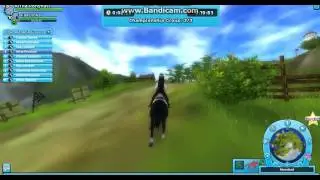 Morland championship-sso