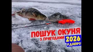 пошук окуня, бере один за одним, як знаходиш